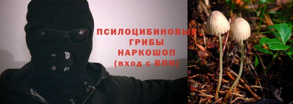 гашик Беломорск