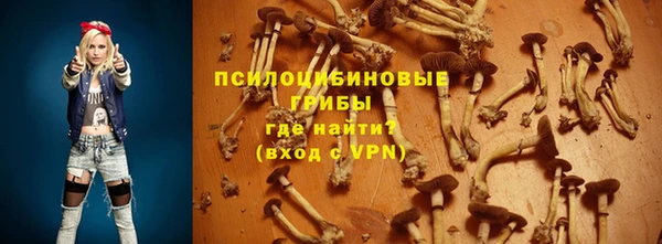 прущая мука Белокуриха